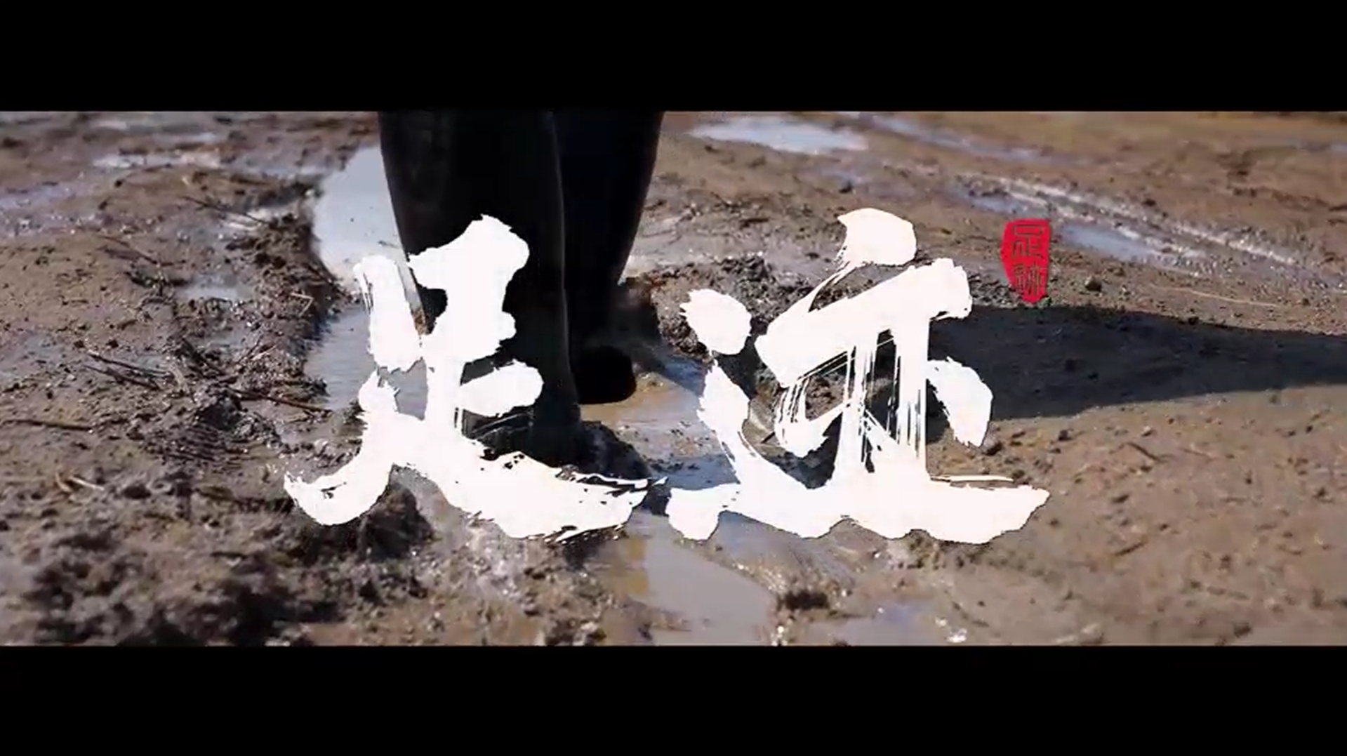 《足迹》